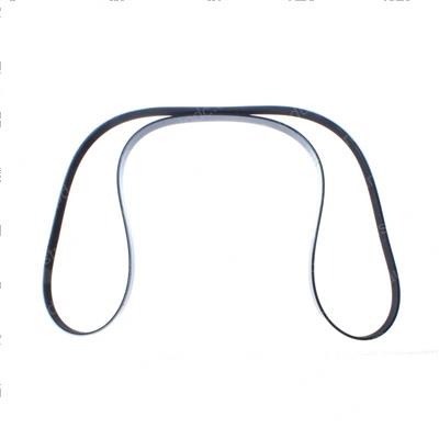 Picture of Belt - Serpentine