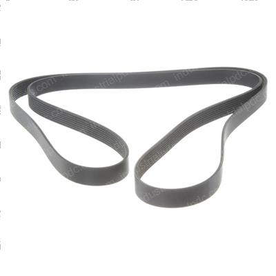 Picture of Belt - Serpentine