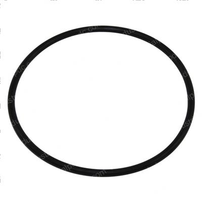 Picture of O-Ring