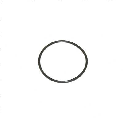 Picture of O-Ring