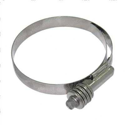 Picture of Hose Clamp