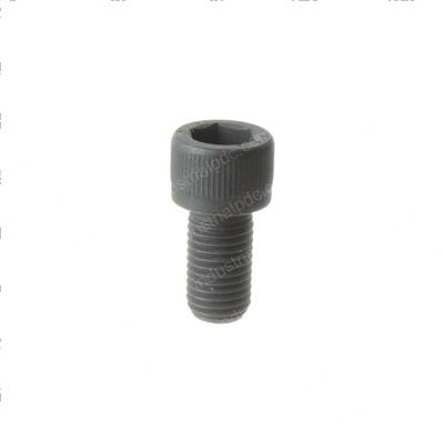 Picture of Screw M16