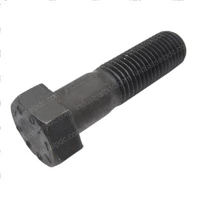 Picture of Bolt