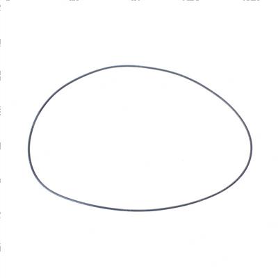 Picture of O-Ring
