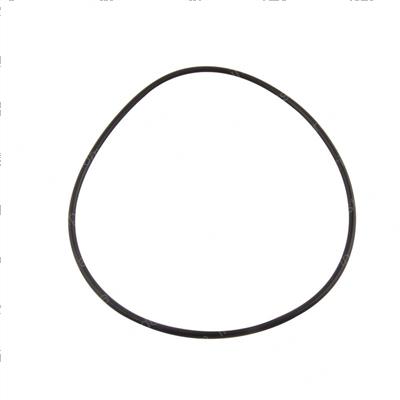Picture of O-Ring