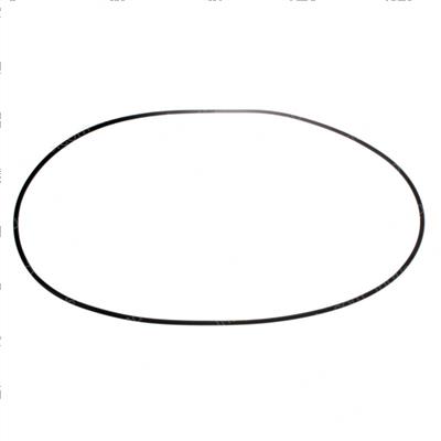 Picture of O-Ring