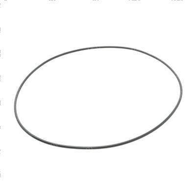 Picture of O-Ring