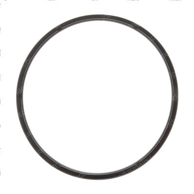 Picture of Seal