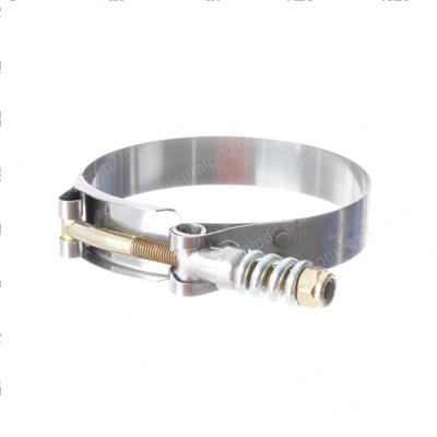 Picture of Clamp-Spring Loaded T Bolt