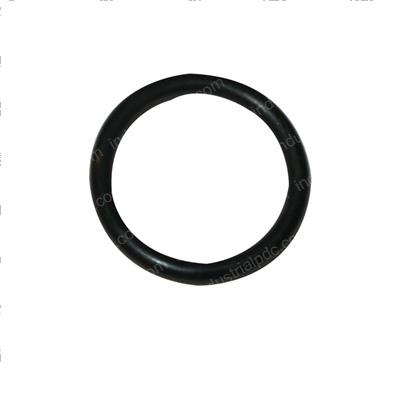 Picture of O-Ring