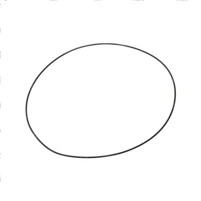 Picture of O-Ring