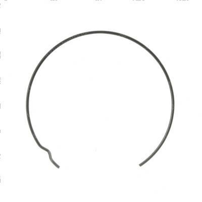 Picture of Ring - Retaining