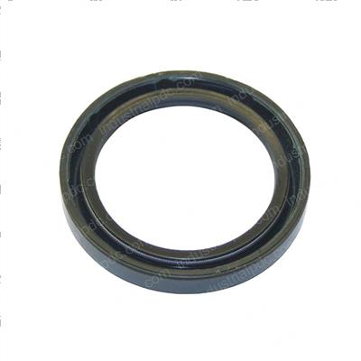 Picture of Seal