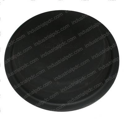 Picture of Diaphragm