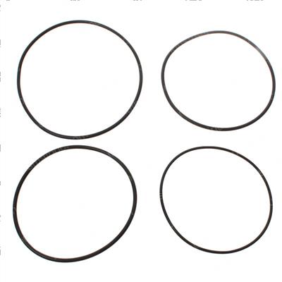 Picture of Seal Kit -  Fltr [hydac]