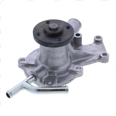 Picture of Pump, Water