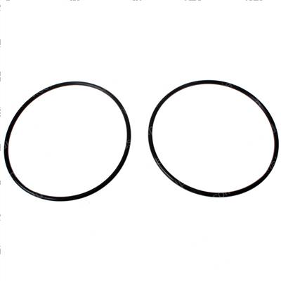 Picture of O-Ring