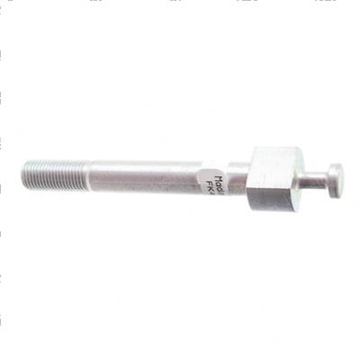Picture of Special Bolt