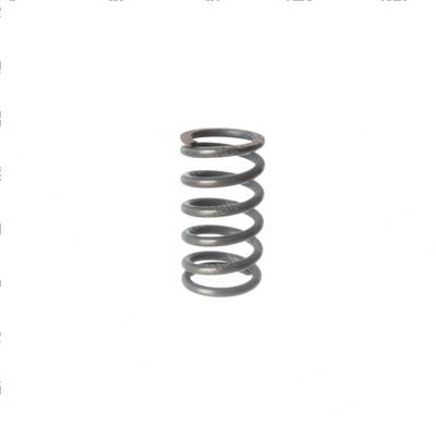 Picture of Spring - Brake