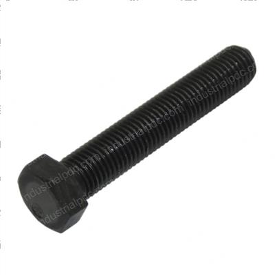 Picture of Bolt