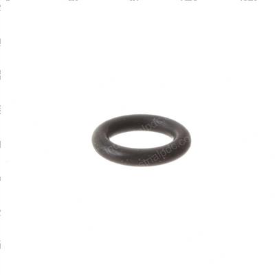 Picture of O-Ring