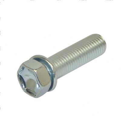 Picture of Bolt W/Washer