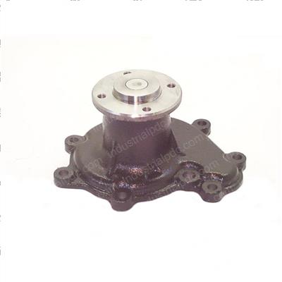 Picture of Pump - Water