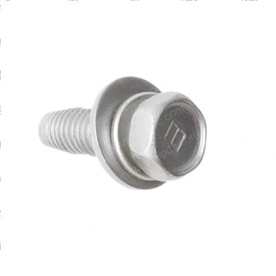 Picture of Bolt W/Washer