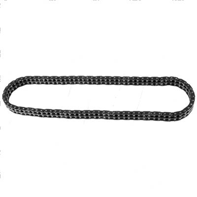 Picture of Chain - Timing