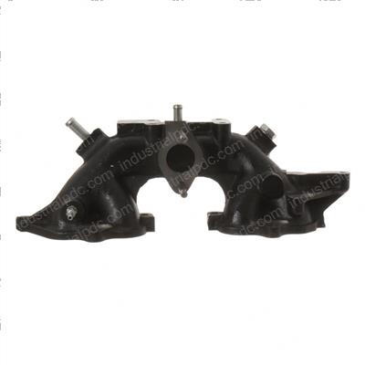 Picture of Manifold