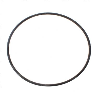 Picture of O-Ring
