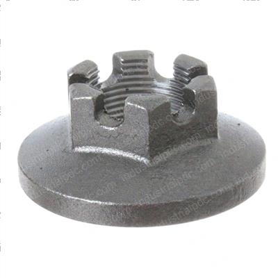 Picture of Nut