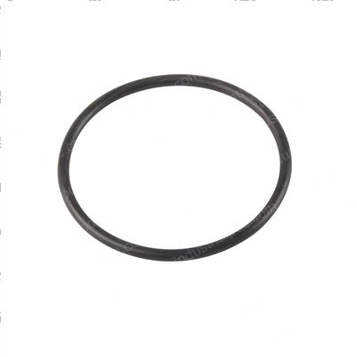 Picture of O-Ring
