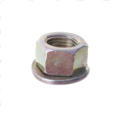 Picture of Nut