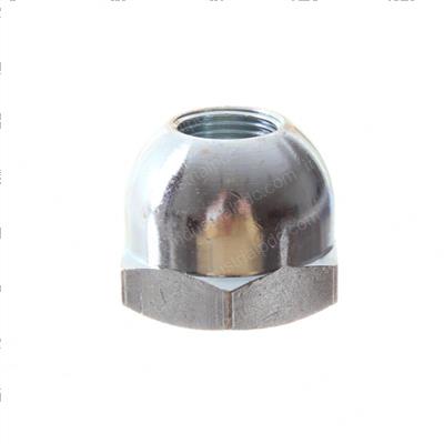 Picture of Nut