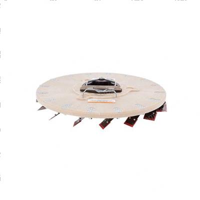 Picture of Disk -  18.0d -  0100grit -  Cw