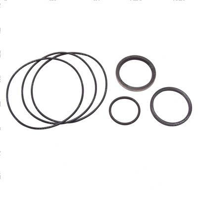 Picture of Seal Kit -  Orbitrol