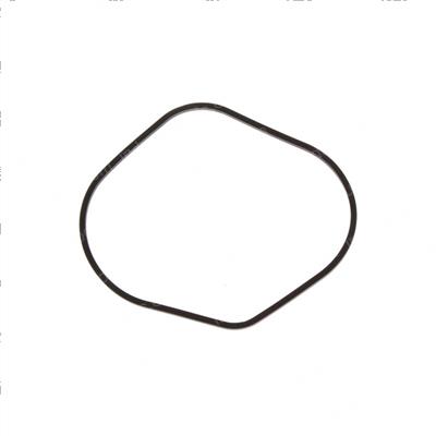 Picture of Gasket