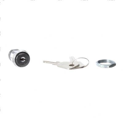 Picture of Keyswitch Pte Models