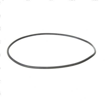 Picture of O-Ring