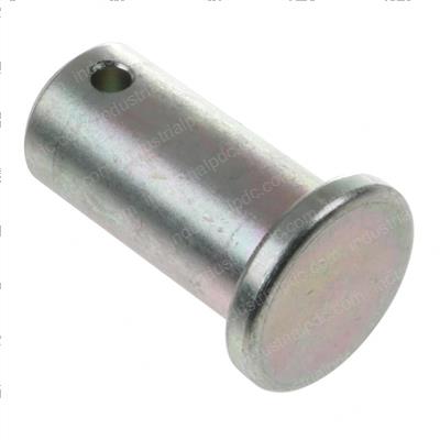 Picture of Pin, Whole