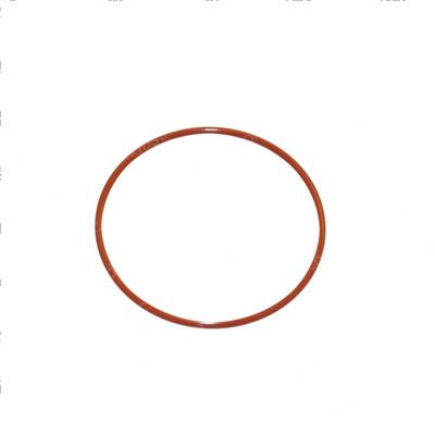 Picture of O-Ring
