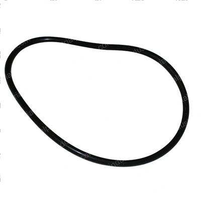 Picture of O-Ring