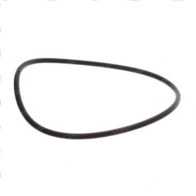 Picture of O-Ring