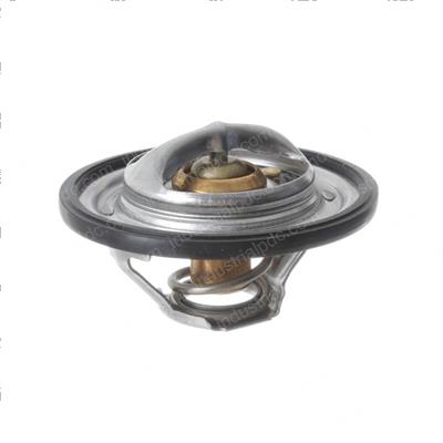 Picture of Thermostat and Gasket