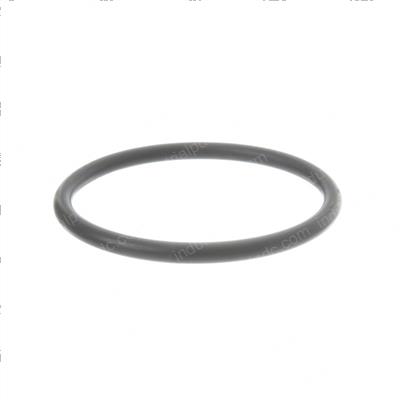 Picture of Seal