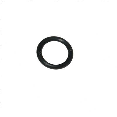Picture of O-Ring
