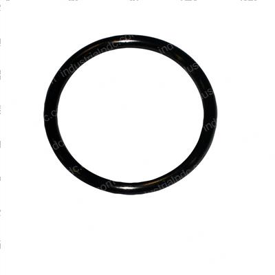Picture of O-Ring