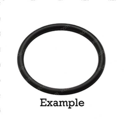 Picture of O-Ring