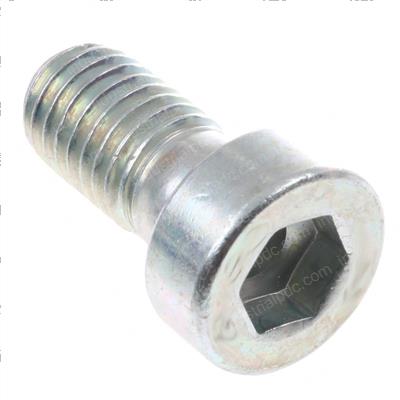 Picture of Socketheadscrew M10x208.8